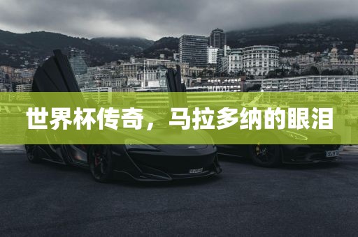 世界杯传奇，马拉多纳的眼泪眉山市正发家政服务有限公司