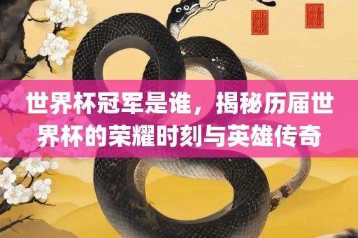 世界杯冠军是谁，揭秘历届世界杯的荣耀时刻与英雄传奇眉山市正发家政服务有限公司