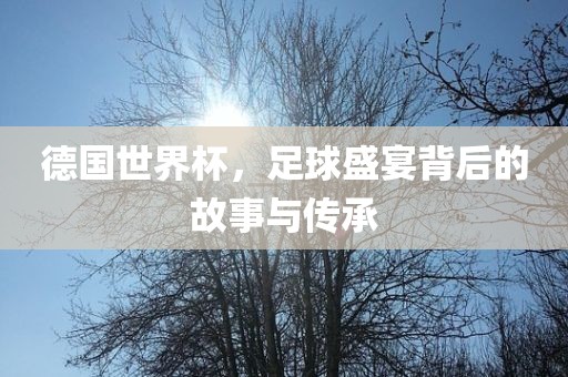 德国世界杯眉山市正发家政服务有限公司，足球盛宴背后的故事与传承