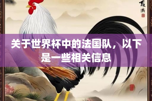 关于世界杯中的法国队，以下是一些相关信息
