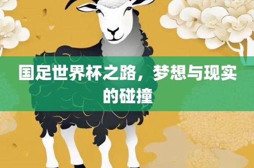 国足世界杯之路，梦想与现实的碰撞