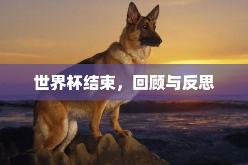 世界杯结束，回顾与反思