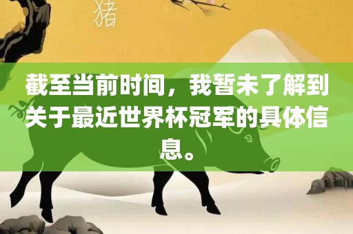 截至当前时间，我暂未了解到关于最近世界杯冠军的具体信息。