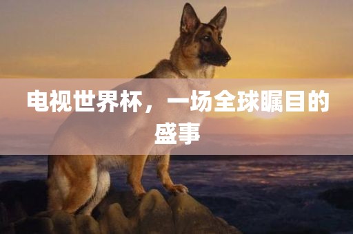 电视世界杯，一场全球瞩目的盛事