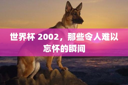 世界杯 2002，那些令人难以忘怀的瞬间