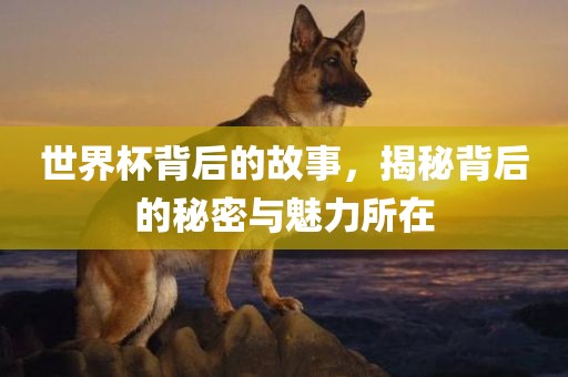 世界杯背后的故事，揭秘背后的秘密与魅力所在