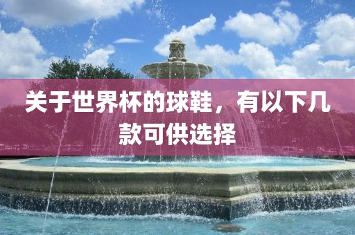 关于世界杯的球鞋，有以下几款可供选择