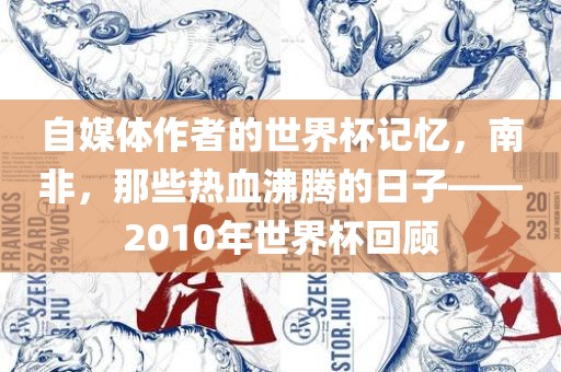自媒体作者的世界杯记忆，南非，那些热血沸腾的日子——2010年世界杯回顾
