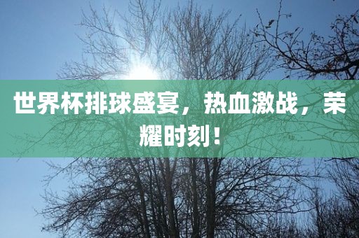 世界杯排球盛宴，热血激战，荣耀时刻！