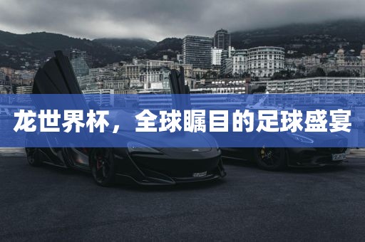 龙世界杯，全球瞩目的足球盛宴