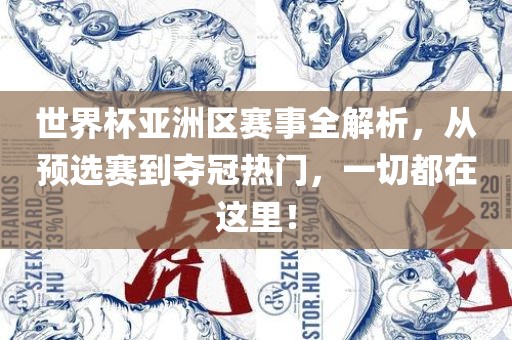 世界杯亚洲区赛事全解析，从预选赛到夺冠热门，一切都在这里！