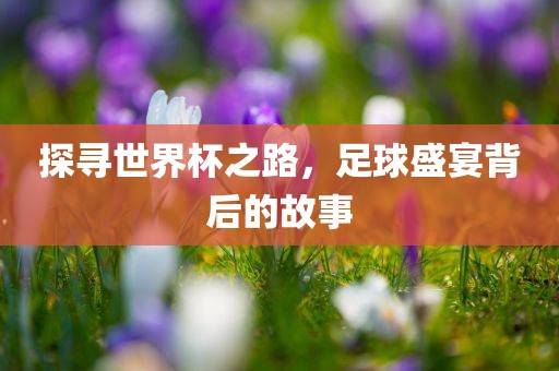 探寻世界杯之路，足球盛宴背后的故事
