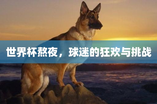 世界杯熬夜，球迷的狂欢与挑战