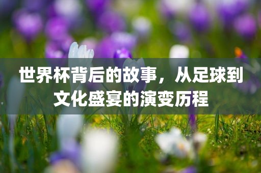 世界杯背后的故事，从足球到文化盛宴的演变历程