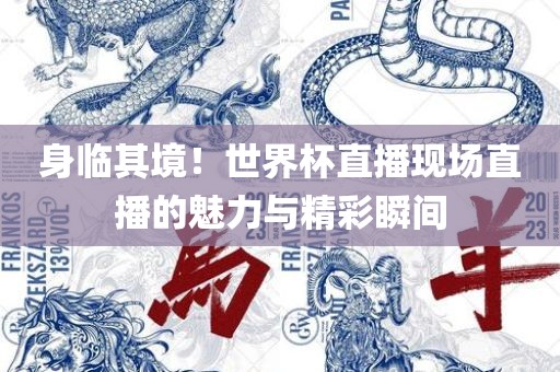 身临其境！世界杯直播现场直播的魅力与精彩瞬间