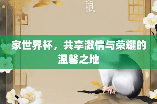 家世界杯，共享激情与荣耀的温馨之地