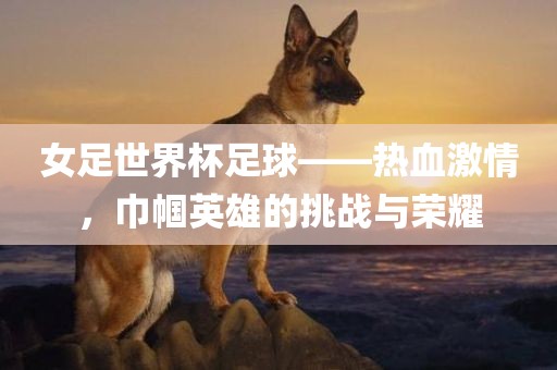 女足世界杯足球——热血激情，巾帼英雄的挑战与荣耀