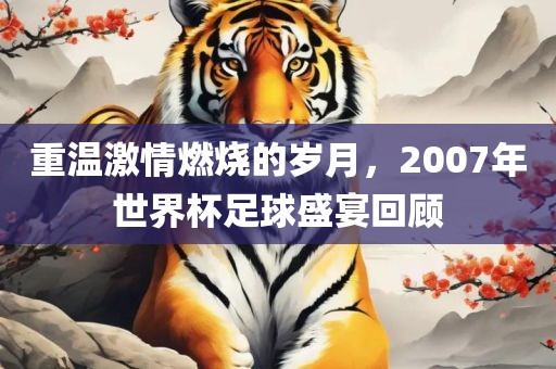 重温激情燃烧的岁月，2007年世界杯足球盛宴回顾