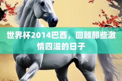 世界杯2014巴西，回顾那些激情四溢的日子