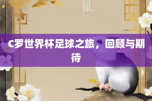 C罗世界杯足球之旅，回顾与期待