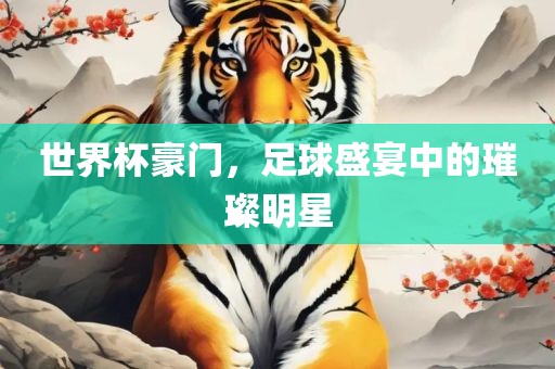 世界杯豪门，足球盛宴中的璀璨明星