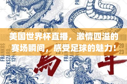 美国世界杯直播，激情四溢的赛场瞬间，感受足球的魅力！