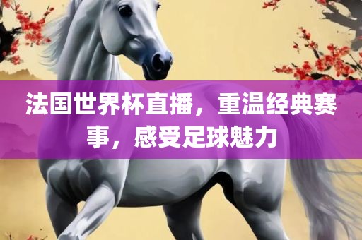 法国世界杯直播，重温经典赛事，感受足球魅力