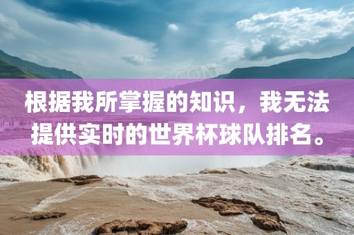 根据我所掌握的知识，我无法提供实时的世界杯球队排名。