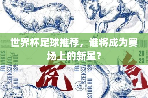 世界杯足球推荐，谁将成为赛场上的新星？