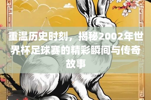 重温历史时刻，揭秘2002年世界杯足球赛的精彩瞬间与传奇故事