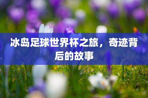 冰岛足球世界杯之旅，奇迹背后的故事