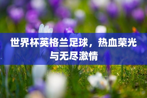 世界杯英格兰足球，热血荣光与无尽激情