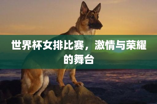 世界杯女排比赛，激情与荣耀的舞台
