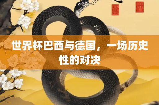 世界杯巴西与德国，一场历史性的对决