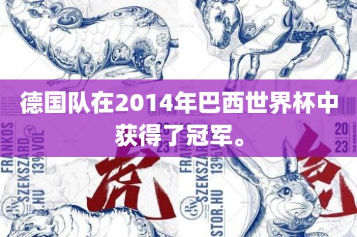 德国队在2014年巴西世界杯中获得了冠军。