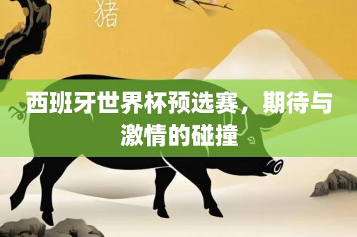 西班牙世界杯预选赛，期待与激情的碰撞