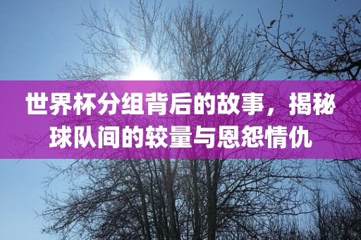 世界杯分组背后的故事，揭秘球队间的较量与恩怨情仇