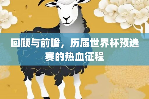 回顾与前瞻，历届世界杯预选赛的热血征程