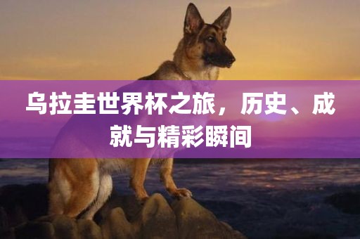 乌拉圭世界杯之旅，历史、成就与精彩瞬间