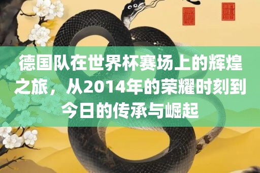 德国队在世界杯赛场上的辉煌之旅，从2014年的荣耀时刻到今日的传承与崛起