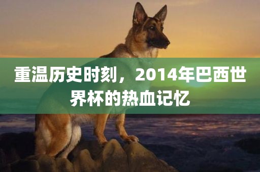 重温历史时刻，2014年巴西世界杯的热血记忆