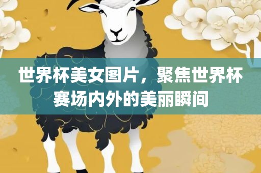 世界杯美女图片，聚焦世界杯赛场内外的美丽瞬间
