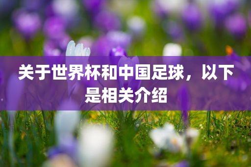 关于世界杯和中国足球，以下是相关介绍