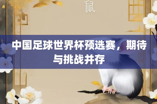 中国足球世界杯预选赛，期待与挑战并存