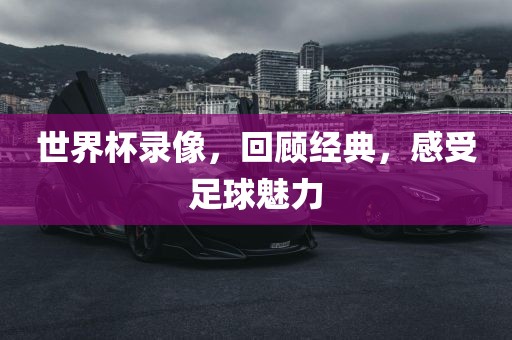 世界杯录像，回顾经典，感受足球魅力