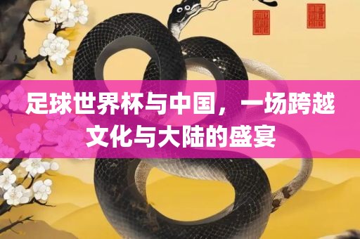 足球世界杯与中国，一场跨越文化与大陆的盛宴