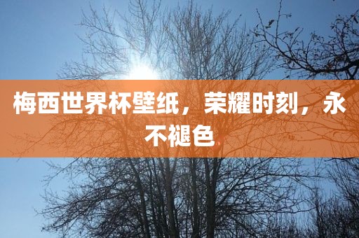 梅西世界杯壁纸，荣耀时刻，永不褪色