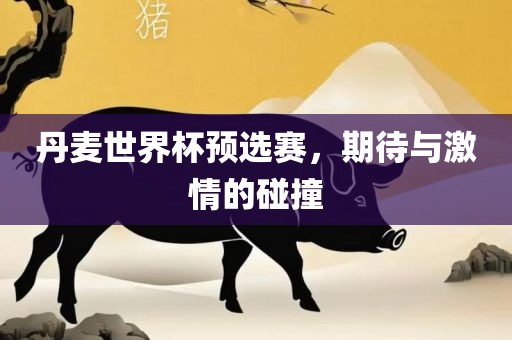 丹麦世界杯预选赛，期待与激情的碰撞