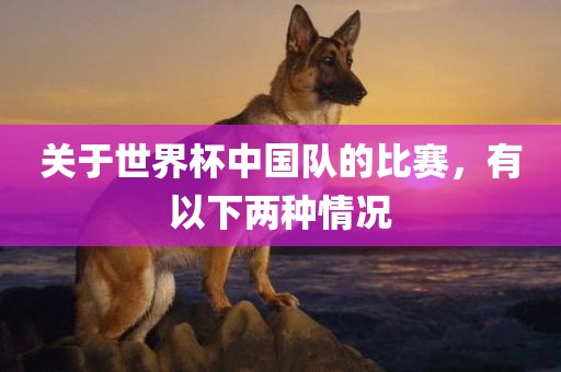 关于世界杯中国队的比赛，有以下两种情况