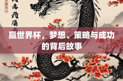 赢世界杯，梦想、策略与成功的背后故事